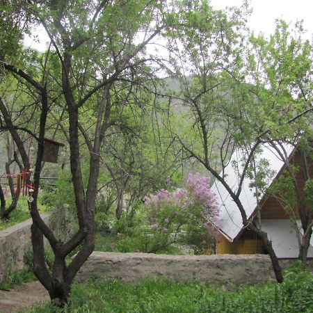 Refugio Coyoacan Villa Guayacan  Bagian luar foto