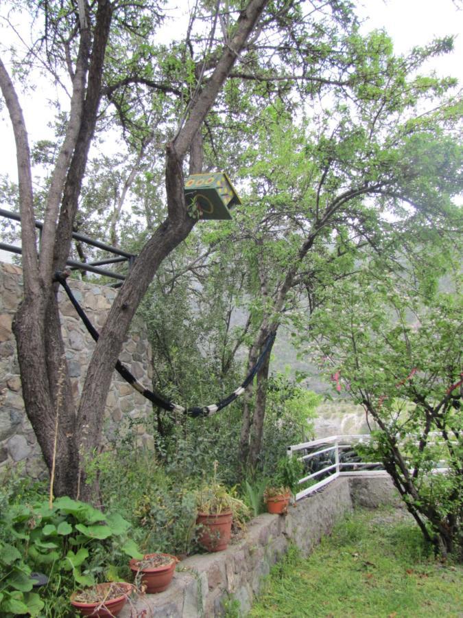 Refugio Coyoacan Villa Guayacan  Bagian luar foto